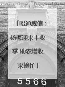 昭通威信：杨梅迎来丰收季 助农增收采摘忙