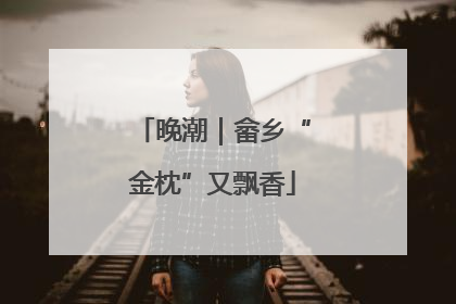 晚潮｜畲乡“金枕”又飘香
