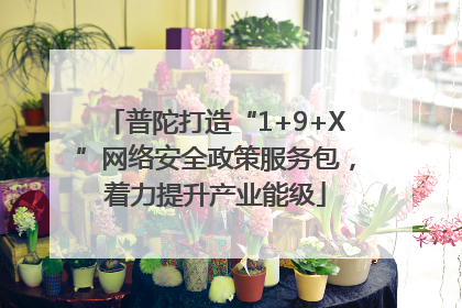 普陀打造“1+9+X”网络安全政策服务包，着力提升产业能级