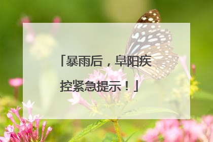 暴雨后，阜阳疾控紧急提示！