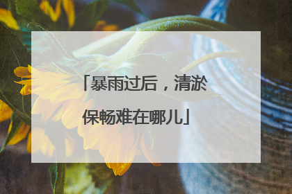 暴雨过后，清淤保畅难在哪儿