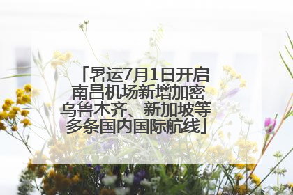 暑运7月1日开启 南昌机场新增加密乌鲁木齐、新加坡等多条国内国际航线