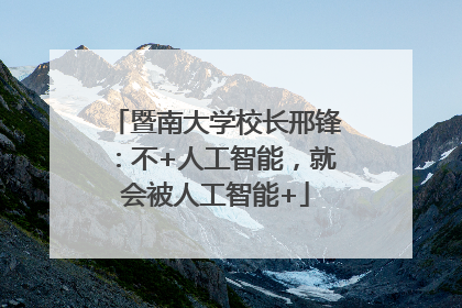 暨南大学校长邢锋：不+人工智能，就会被人工智能+