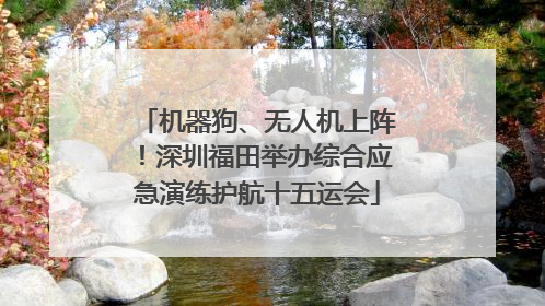 机器狗、无人机上阵！深圳福田举办综合应急演练护航十五运会
