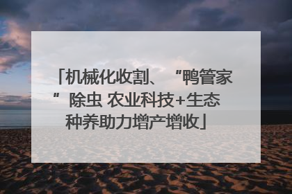 机械化收割、“鸭管家”除虫 农业科技+生态种养助力增产增收