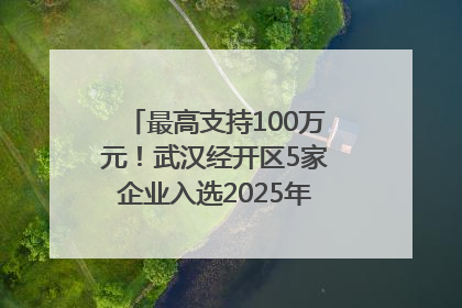 最高支持100万元！武汉经开区5家企业入选2025年度武汉市重点研发计划拟立项项目名单