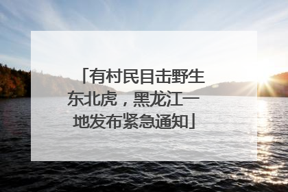 有村民目击野生东北虎，黑龙江一地发布紧急通知