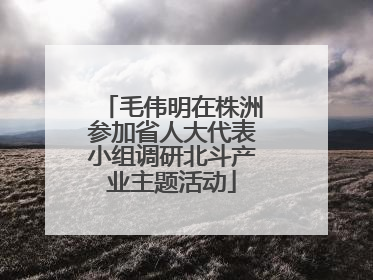 毛伟明在株洲参加省人大代表小组调研北斗产业主题活动