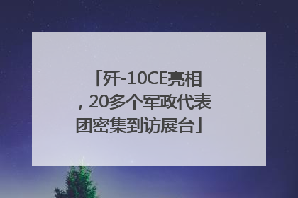 歼-10CE亮相，20多个军政代表团密集到访展台