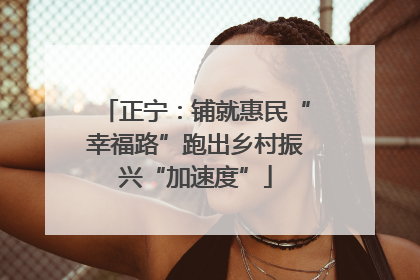 正宁：铺就惠民“幸福路”跑出乡村振兴“加速度”