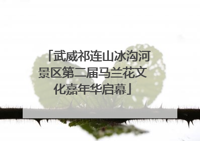 武威祁连山冰沟河景区第二届马兰花文化嘉年华启幕