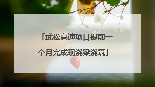 武松高速项目提前一个月完成现浇梁浇筑