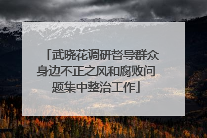 武晓花调研督导群众身边不正之风和腐败问题集中整治工作