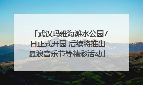 武汉玛雅海滩水公园7日正式开园 后续将推出夏浪音乐节等精彩活动