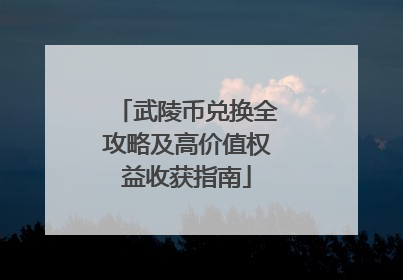 武陵币兑换全攻略及高价值权益收获指南