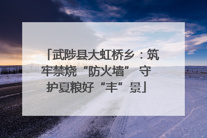 武陟县大虹桥乡：筑牢禁烧“防火墙” 守护夏粮好“丰”景