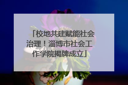 校地共建赋能社会治理！淄博市社会工作学院揭牌成立