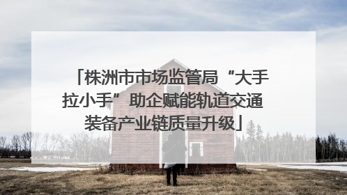株洲市市场监管局“大手拉小手”助企赋能轨道交通装备产业链质量升级