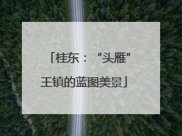桂东：“头雁”王镇的蓝图美景