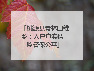 桃源县青林回维乡：入户查实情 监督保公平