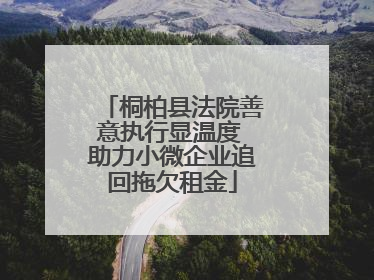 桐柏县法院善意执行显温度 助力小微企业追回拖欠租金