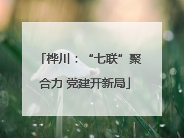 桦川：“七联”聚合力 党建开新局