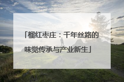 榴红枣庄：千年丝路的味觉传承与产业新生
