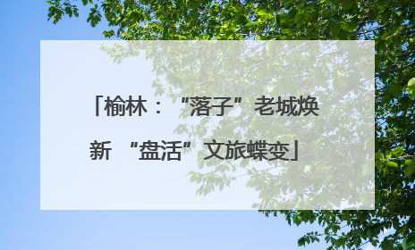 榆林：“落子”老城焕新 “盘活”文旅蝶变