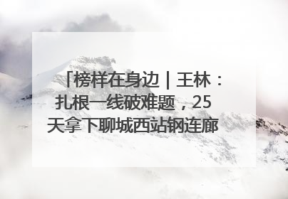 榜样在身边｜王林：扎根一线破难题，25天拿下聊城西站钢连廊“硬核”工程