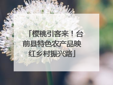 樱桃引客来！台前县特色农产品映红乡村振兴路
