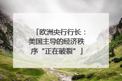 欧洲央行行长：美国主导的经济秩序“正在破裂”