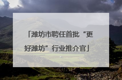 潍坊市聘任首批“更好潍坊”行业推介官