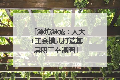 潍坊潍城：人大+工会模式打造基层职工幸福圈