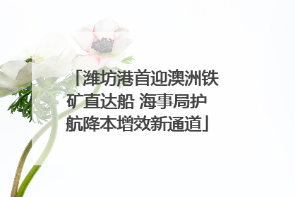 潍坊港首迎澳洲铁矿直达船 海事局护航降本增效新通道