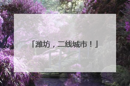 潍坊，二线城市！