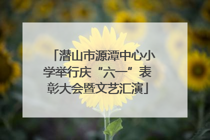 潜山市源潭中心小学举行庆“六一”表彰大会暨文艺汇演