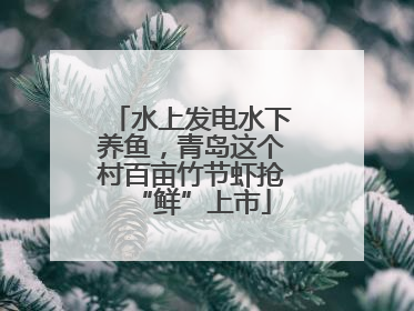 水上发电水下养鱼，青岛这个村百亩竹节虾抢“鲜”上市
