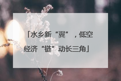 水乡新“翼”，低空经济“链”动长三角