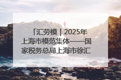 汇劳模｜2025年上海市模范集体——国家税务总局上海市徐汇区税务局第一税务所