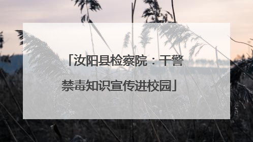 汝阳县检察院：干警禁毒知识宣传进校园