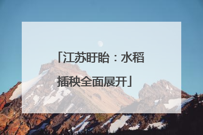 江苏盱眙：水稻插秧全面展开
