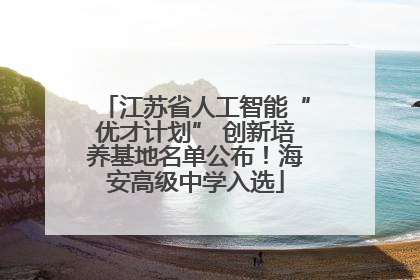 江苏省人工智能“优才计划” 创新培养基地名单公布！海安高级中学入选