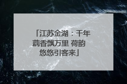 江苏金湖：千年藕香飘万里 荷韵悠悠引客来