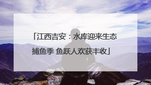 江西吉安：水库迎来生态捕鱼季 鱼跃人欢获丰收