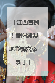 江西首例！鄱阳湖湿地彩鹮喜添新丁