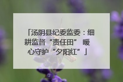 汤阴县纪委监委：细耕监督“责任田” 暖心守护“夕阳红”