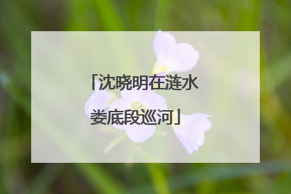 沈晓明在涟水娄底段巡河