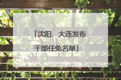 沈阳、大连发布干部任免名单