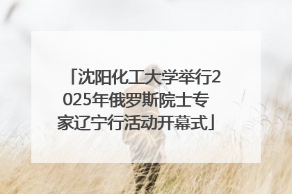 沈阳化工大学举行2025年俄罗斯院士专家辽宁行活动开幕式