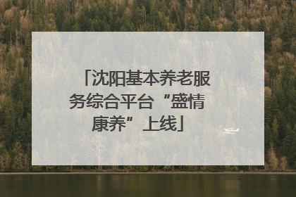 沈阳基本养老服务综合平台“盛情康养”上线